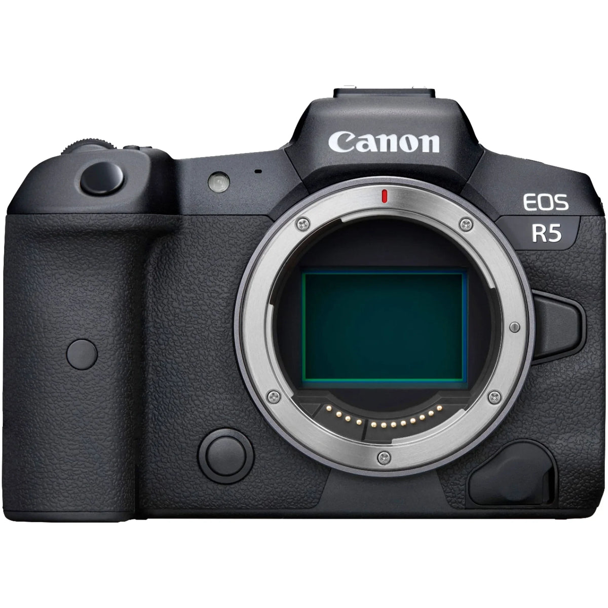 EOS R5 Mirrorless Camera with RF24-105mm + 75-300mm Lens + Mount Adapter + 2 Pack SanDisk 32GB + ZeeTech Accessory